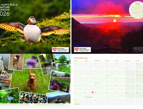 Our “My Happy Place in Nature” photo calendar contest winners